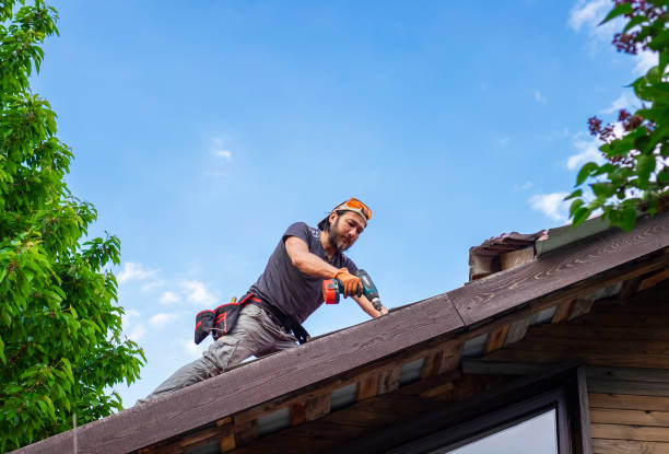 Best Roof Moss and Algae Removal  in Seagoville, TX