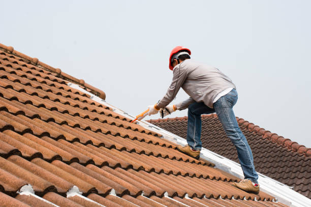 Best Roof Inspection  in Seagoville, TX